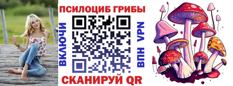 Галлюциногенные грибы Cubensis  Старая Русса 