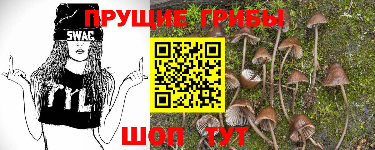 Галлюциногенные грибы GOLDEN TEACHER Старая Русса