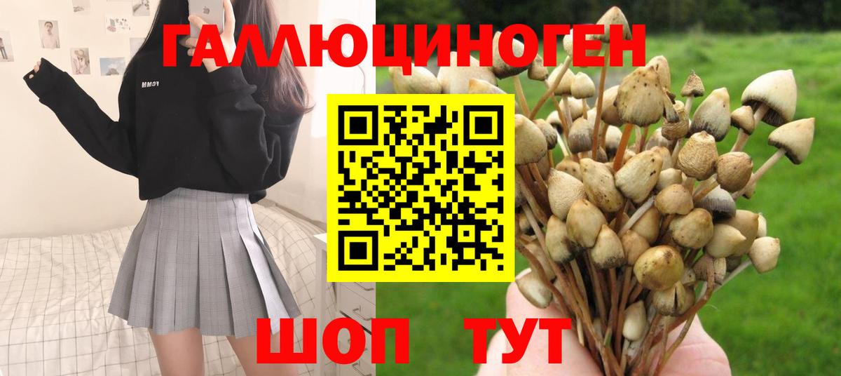 Старая Русса  Псилоцибиновые грибы Psilocybe  Вход с VPN  Псилоцибиновые грибы ЛСД 