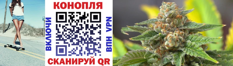 Каннабис сатива Старая Русса